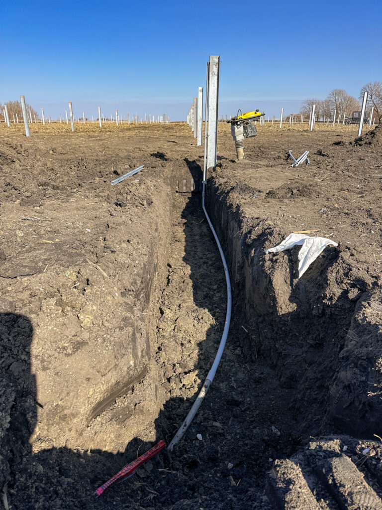 Lutz trenched for electrical